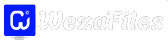WazeFiles Light Logo